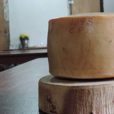 queijo de leite de cabra caprinus queijaria fazenda atalaia