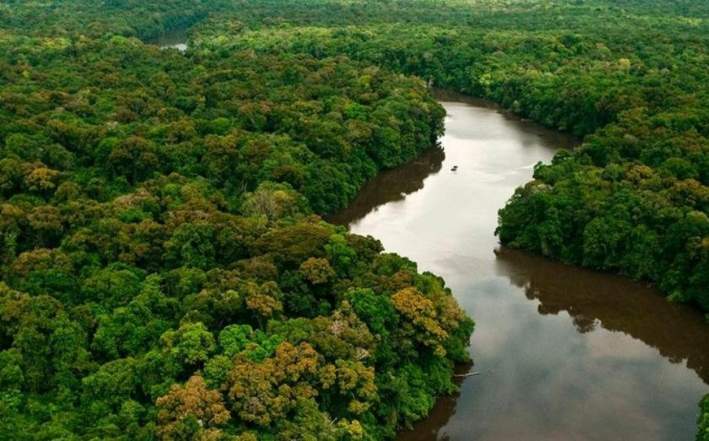 notícias rio amazonas dia nacional do índio