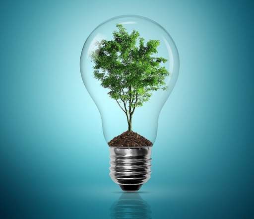 notícias consumo sustentável Árvore lâmpada
