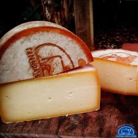 queijaria fazenda santa luzia queijo com cerveja braukäse cortado