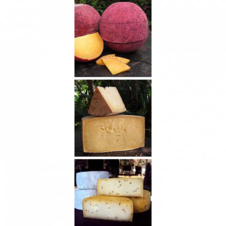 kit santa luzia queijos sabor da fonte