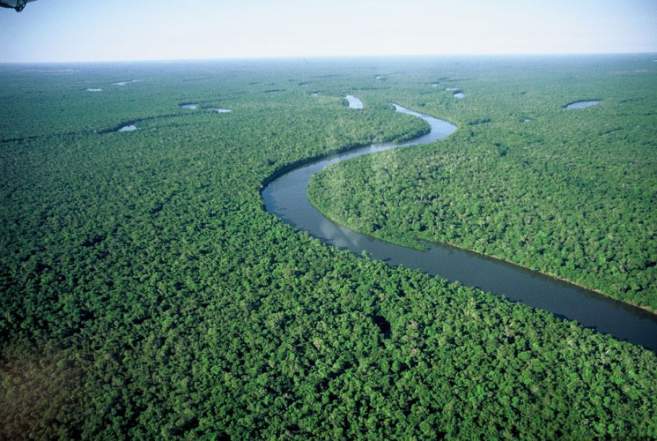 notícias dia da amazônia rio amazonas